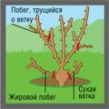  ,  ,  ,  , 