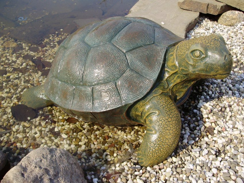 Черепахи новосибирск. Черепаха для сада. Садовая скульптура черепаха. Черепашка из цемента. Черепаха из цемента для сада.